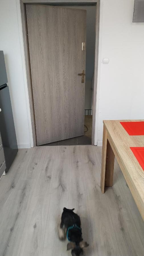 Apartament Witkacego Czerwony Słupsk Eksteriør bilde